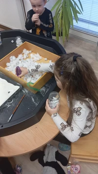 WhatsApp Image 2026-02-17 at 130720n