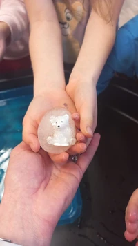 WhatsApp Image 2026-02-17 at 130738s