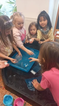 WhatsApp Image 2026-02-17 at 130742y