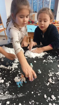 WhatsApp Image 2026-02-17 at 130746rr