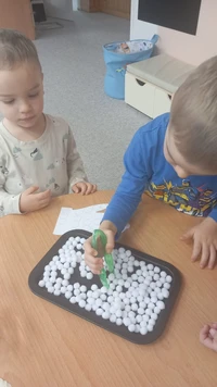 WhatsApp Image 2026-02-17 at 130750n