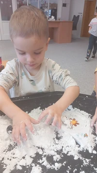 WhatsApp Image 2026-02-17 at 130753xx