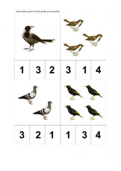 Zakroužkuj správné číslo podle počtu ptáčků